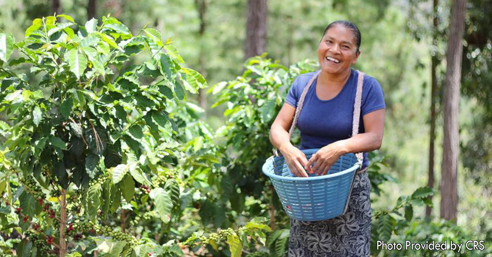 The CRS is teaching those around the world how to manage their own farmland. The young woman Carmelina, is one of the many people the CRS is helping. Carmelina is using her new water-smart agriculture skills to take care of her soil and increase her produce.