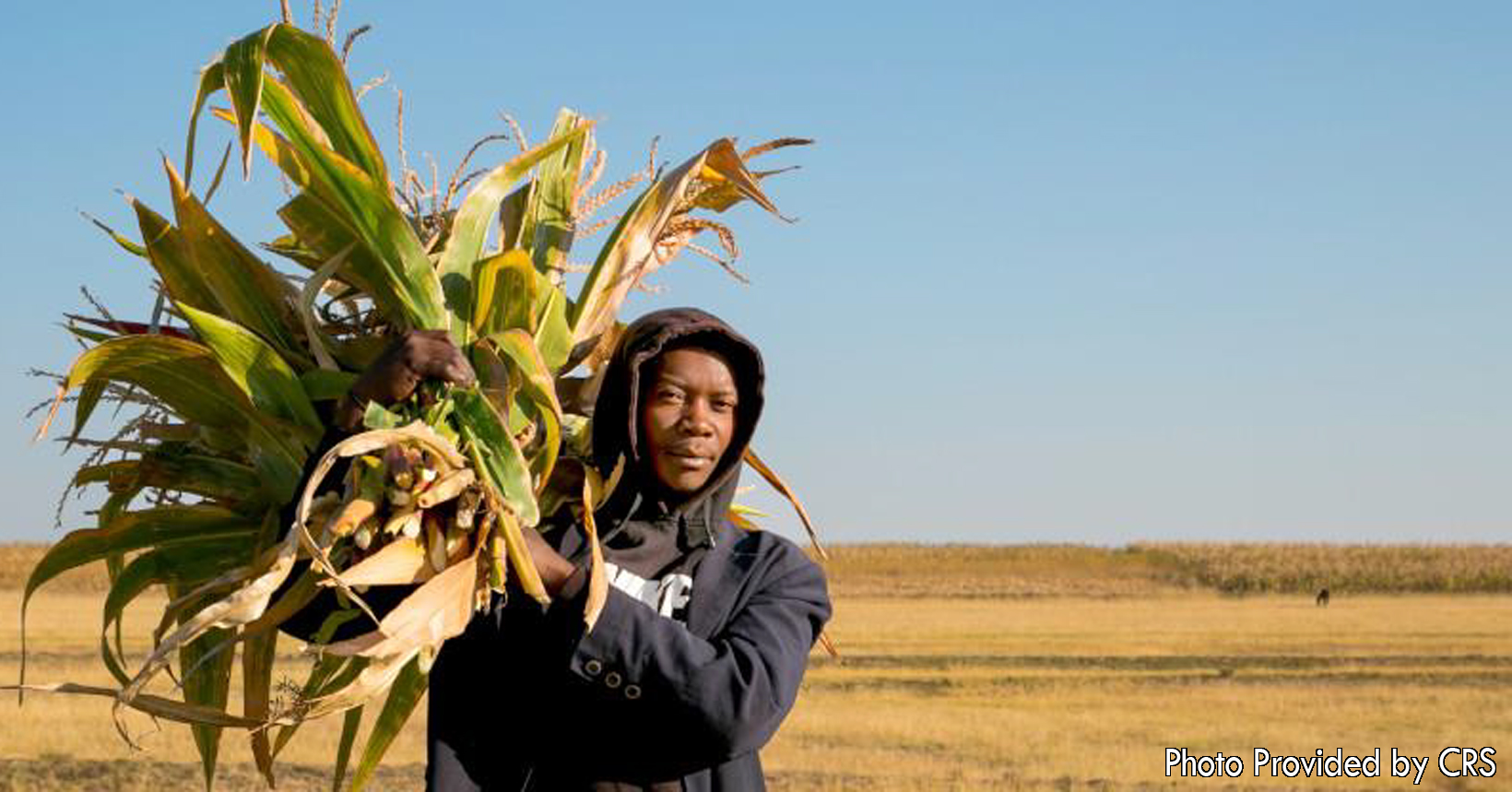 In Lesotho, some of the farmland is scarce and extra attention is needed. The CRS is helping farmers in Lesotho better manage the land. With the help, farmers are improving the amount of corn produced and reducing their livestock overgrazing.
