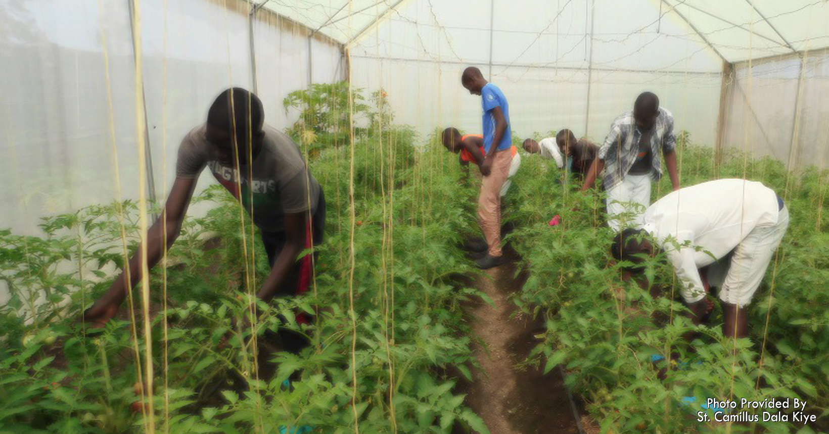 Boys from the Twiga House work in the greenhouse as part of their chores.