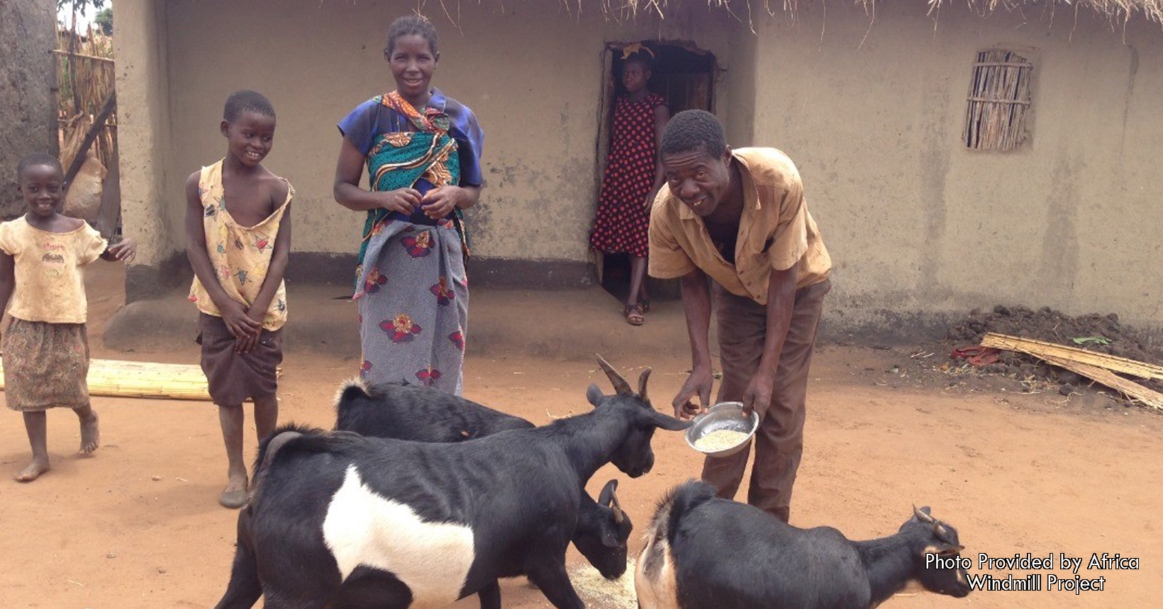 Members of the Mango Agriculture Club in Chitedze are feeding three goats.