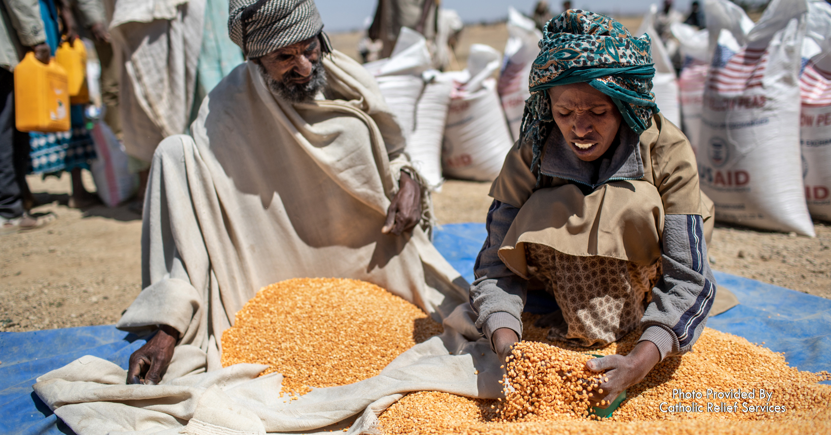A scooper distributes a ration of yellow split peas to a beneficiary at a distribution point in Hawzen District of Tigray, Ethiopia.